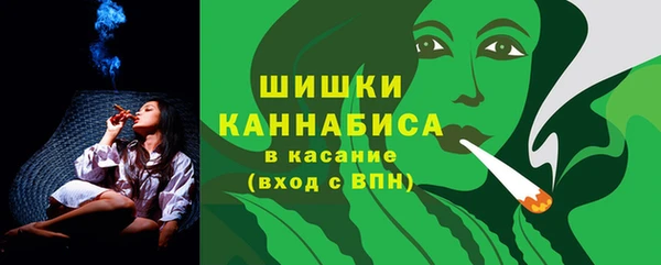 гашик Каменка