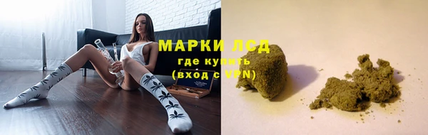 гашик Каменка