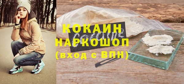 гашик Каменка