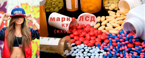 гашик Каменка