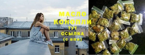 гашик Каменка
