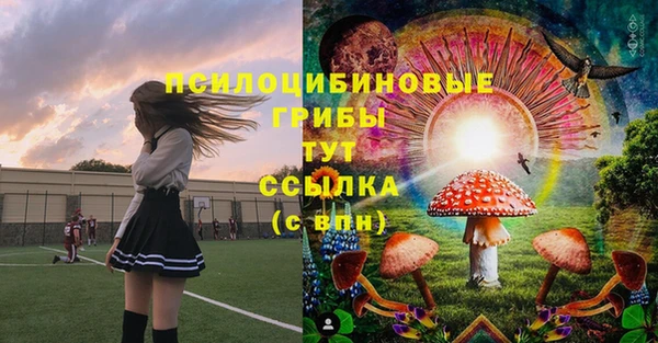 гашик Каменка