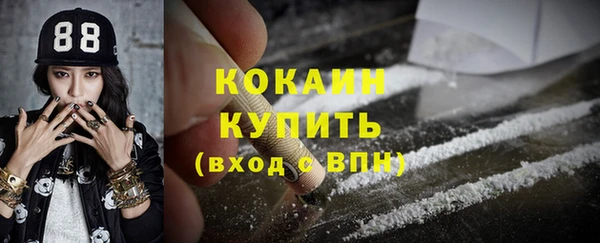 гашик Каменка