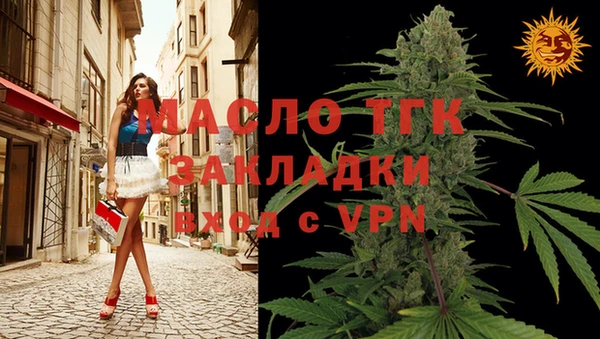 гашик Каменка