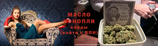 гашик Каменка